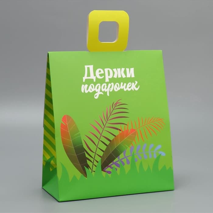 Пакет подарочный с формовым клапаном, упаковка, «Львенок», 23×27×11.5 см