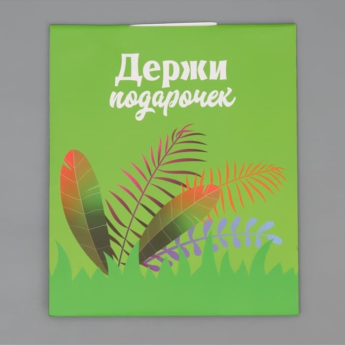 Пакет подарочный с формовым клапаном, упаковка, «Львенок», 23×27×11.5 см