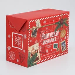 Пакет-коробка подарочный новогодний «Посылочка», 28×20×13 см