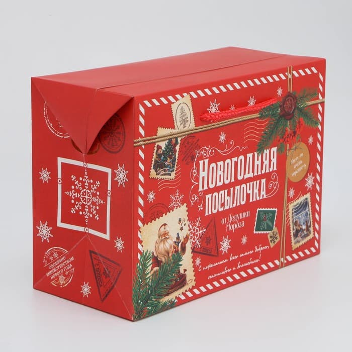 Пакет-коробка подарочный новогодний «Посылочка», 28×20×13 см