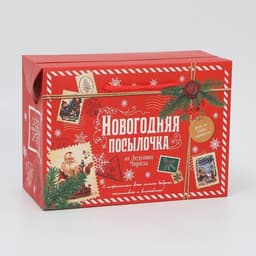 Пакет-коробка подарочный новогодний «Посылочка», 28×20×13 см