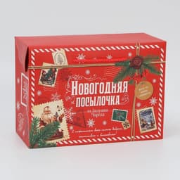 Пакет-коробка подарочный новогодний «Посылочка», 28×20×13 см