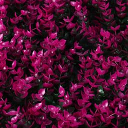 Декоративная панель, 60×40 см, «Фиолетовая трава», Greengo