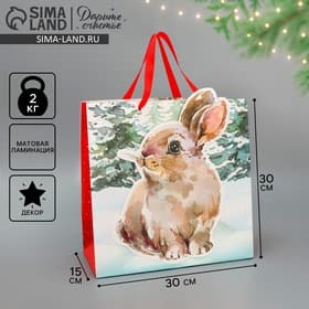 Пакет подарочный новогодний «Зайчик», 30×30×15 см