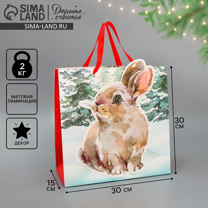 Пакет подарочный новогодний «Зайчик», 30×30×15 см