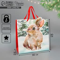 Пакет подарочный новогодний «Зайчик», 30×30×15 см