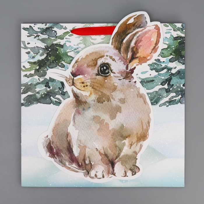 Пакет подарочный новогодний «Зайчик», 30×30×15 см