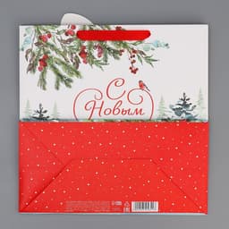 Пакет подарочный новогодний «Зайчик», 30×30×15 см