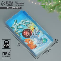 Коробка для кондитерских изделий новогодняя с пластиковой крышкой «С Новым годом», 10.5×21×3 см