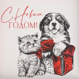Коробка для кондитерских изделий с пластиковой крышкой «С Новым годом!», 21×21×3 см