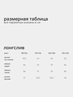 Лонгслив для мальчика KAFTAN, серый, размер 34 (122-128 см)