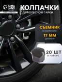 Защитный колпачок колесной гайки, 17 мм, съемник, набор 20 шт., серый