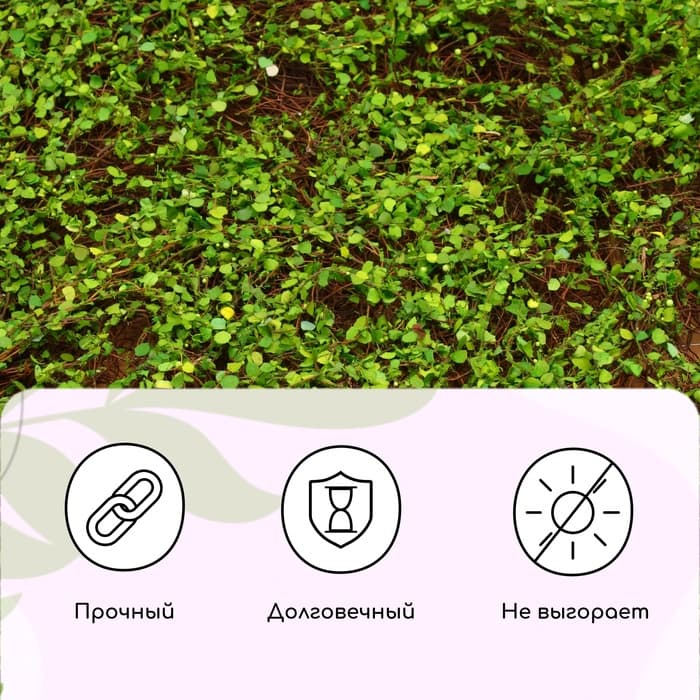 Декоративная панель, 90×40 см, «Ряска», Greengo