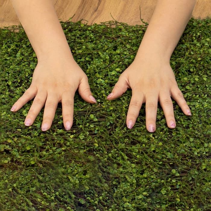 Декоративная панель, 90×40 см, «Ряска», Greengo