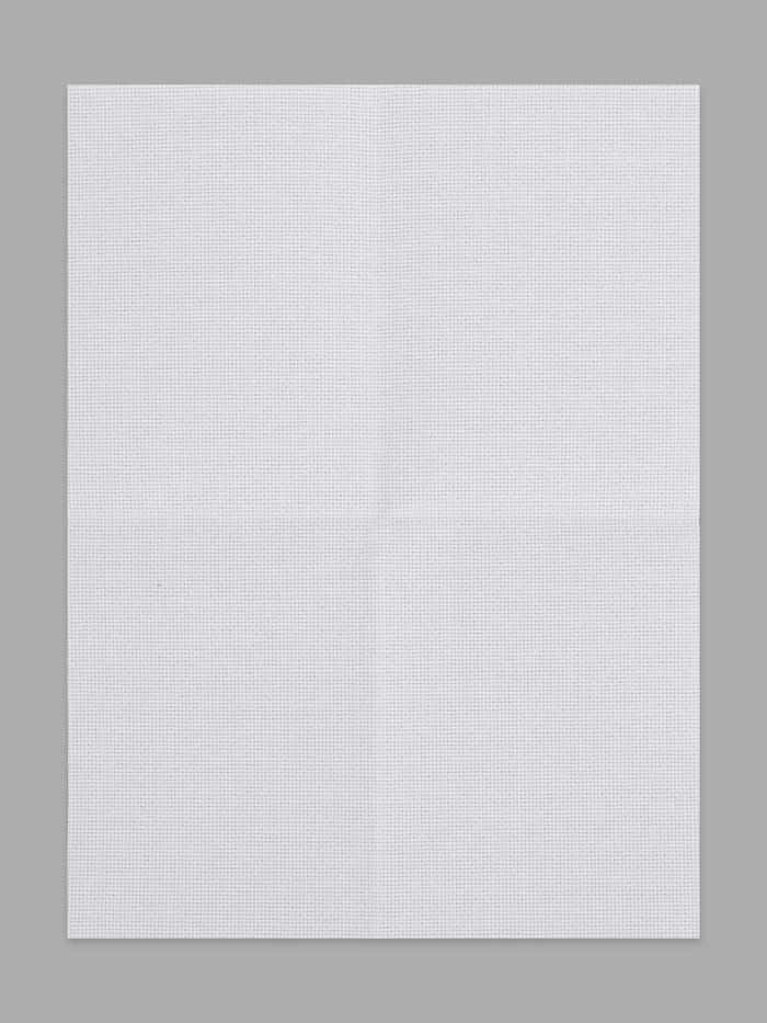 Канва для вышивания №14, 30×40 см, цвет белый