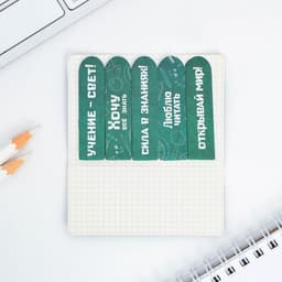 Стикеры закладки 5 шт., по 20 л. «Ученик, Познавай мир!»