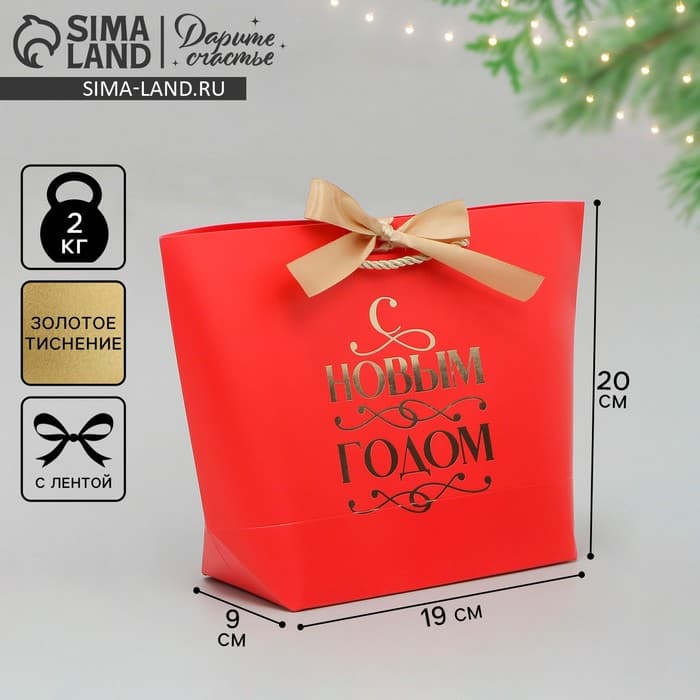 Пакет подарочный новогодний «С Новым годом», 19×20×9 см