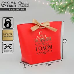 Пакет подарочный новогодний «С Новым годом», 19×20×9 см