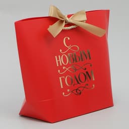 Пакет подарочный новогодний «С Новым годом», 19×20×9 см