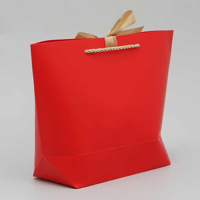 Пакет подарочный новогодний «С Новым годом», 19×20×9 см