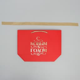 Пакет подарочный новогодний «С Новым годом», 19×20×9 см