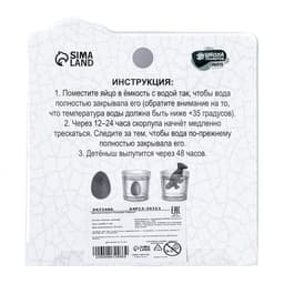 Растущие игрушки «Диномания», с гидрогелем, МИКС