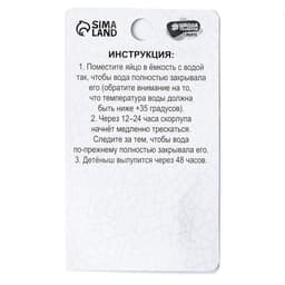 Растущие игрушки «Мир динозавров», МИКС