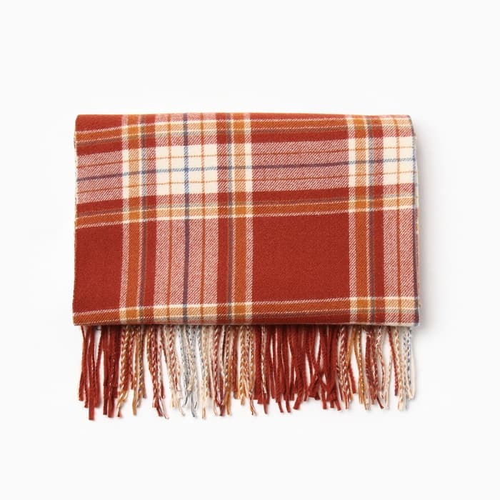 Шарф зимний с кистями MINAKU, размер 65×180 + 8 см, принт клетка