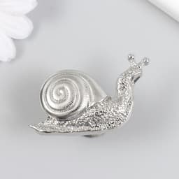 Мебельная ручка - кнопка, металл «Улитка», серебро, 2.8×5.2 см