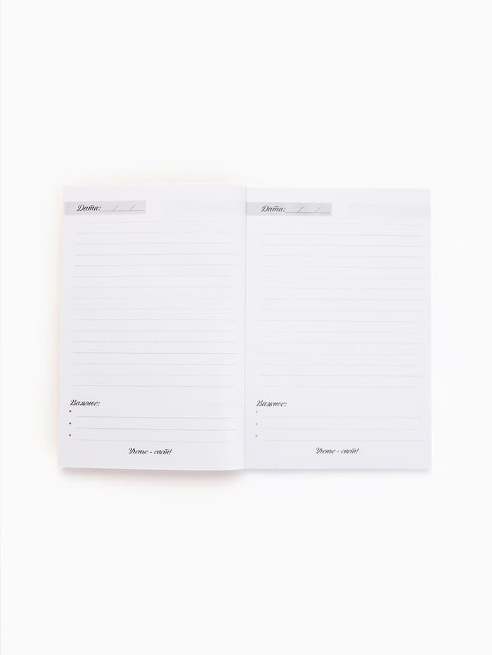 Подарочный набор, ежедневник, мыльные лепестки «Лучший воспитатель»