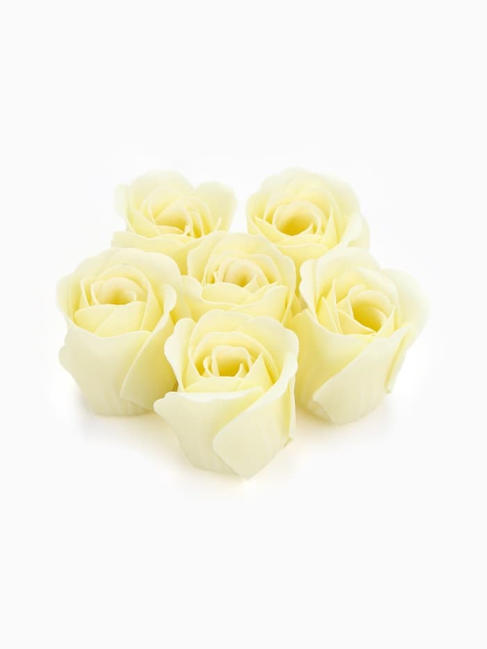 Подарочный набор, ежедневник, мыльные лепестки «Лучший воспитатель»