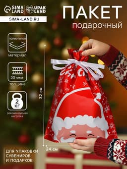 Пакет подарочный новогодний с завязками, «Дед Мороз», 24×32 см
