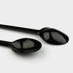 Ложка одноразовая «Стандарт», пластик, 16 см, столовая, чёрная