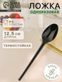 Ложка одноразовая «Стандарт», пластик, 12.5 см, чайная, чёрная