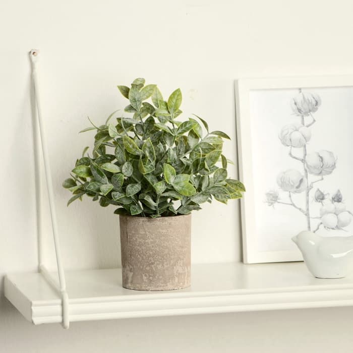 Искусственный цветок в горшке «Педилантус», 8×20 см