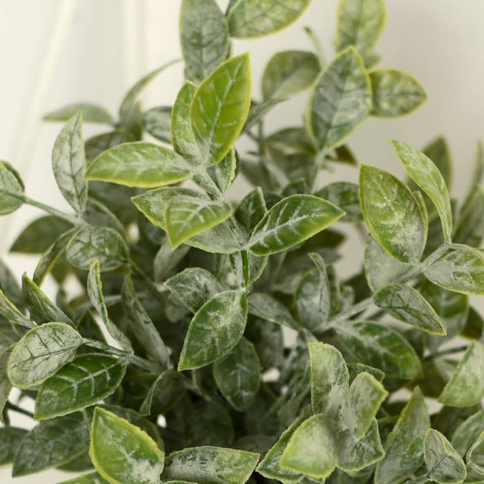 Искусственный цветок в горшке «Педилантус», 8×20 см