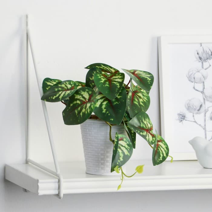 Искусственный цветок в горшке «Сингониум ред», 9×17 см