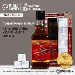 Подарочный набор «Первый во всём», гель для душа виски 250 мл и камни для виски, Чистое счастье