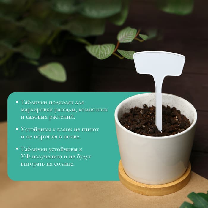 Таблички садовые, для маркировки растений, 20 см, набор 10 шт., пластик, белые, Greengo