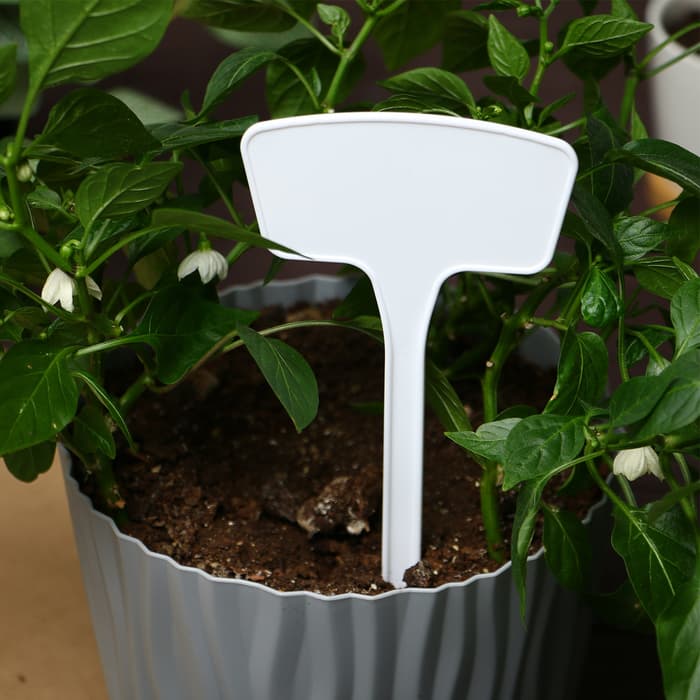 Таблички садовые, для маркировки растений, 20 см, набор 10 шт., пластик, белые, Greengo