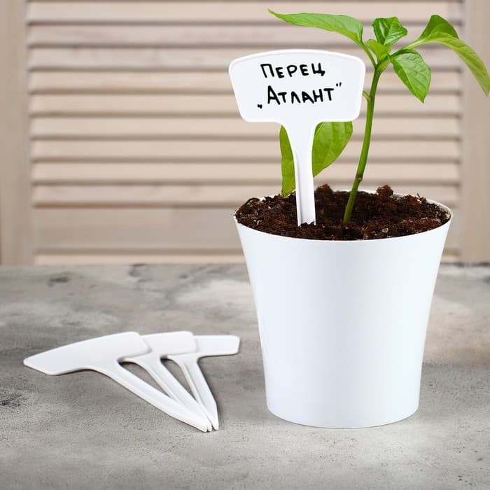 Таблички садовые, для маркировки растений, 20 см, набор 10 шт., пластик, белые, Greengo