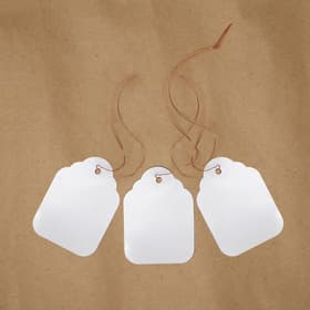 Бирки садовые, для маркировки растений, 6.5×5 см, набор 20 шт., пластик, белые, Greengo