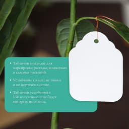 Бирки садовые, для маркировки растений, 6.5×5 см, набор 20 шт., пластик, белые, Greengo