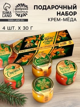 Мёд кремовый новогодний «Чудес», клубника, абрикос, апельсин, малина, 120 г (набор 4 шт.×30 г).