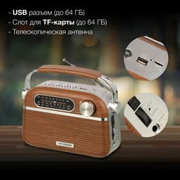 Радиоприёмник портативный Hyundai H-PSR200, USB, microSD, корпус под дерево, коричнево-серебристый