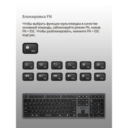 Клавиатура беспроводная A4Tech Fstyler FBX50C, Bluetooth, 2.4 ГГц, USB, slim, мультимедийная, серая