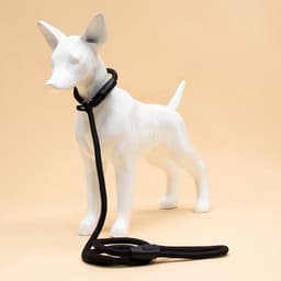 Ринговка для собак, 130×1 см, чёрная