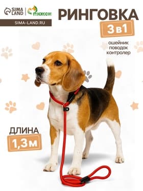 Ринговка для собак, 130×1 см, красная