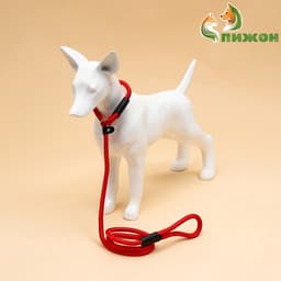 Ринговка для собак, 130×1 см, красная