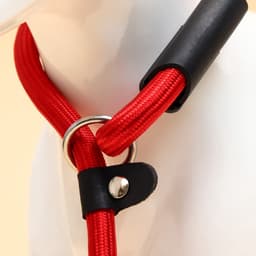 Ринговка для собак, 130×1 см, красная